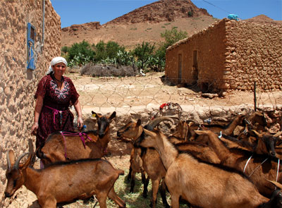 El programa  « Desarrollo sostenible en el medio rural»