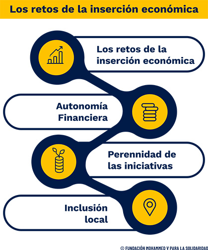 Fundación Mohammed V, Los retos de la inserción económica